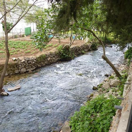 Apartamentos Ribera Del Guadiaro Benaoján Kültér fotó