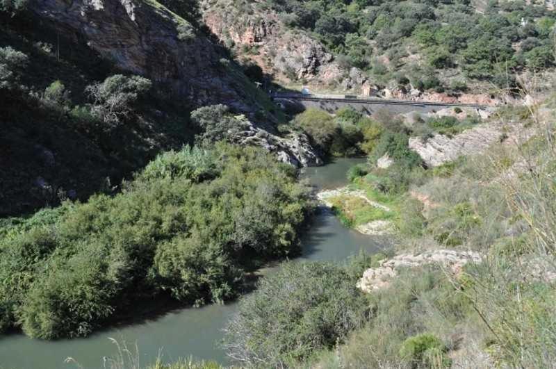 Apartamentos Ribera Del Guadiaro Benaoján Kültér fotó