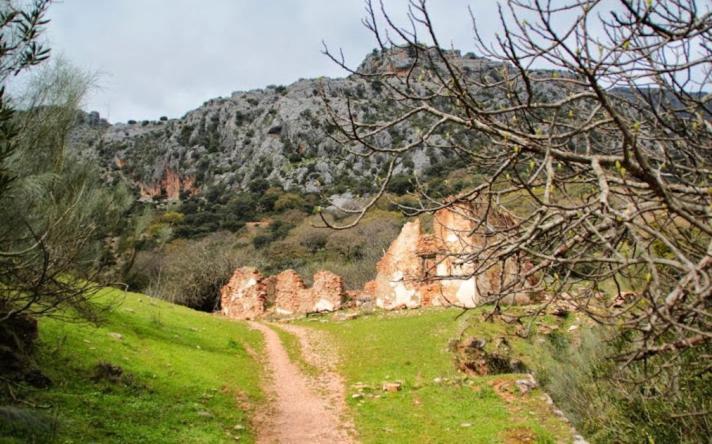 Apartamentos Ribera Del Guadiaro Benaoján Kültér fotó